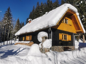 Authentic Pohorje house with riverside outdoor sauna